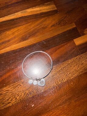 Alex and Ani Silver Tone Charm Bangle Bracelet